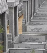 宁波祖坟墓地出现这种现象，大事不妙，千万要注意了！